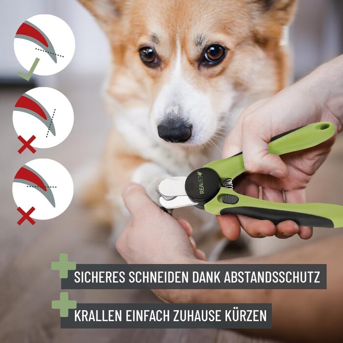 Ножиці ReaVET для обрізання кігтів собак та котів - з пилочкою та упором | Нержавіюча сталь | Інструмент для догляду за кігтями