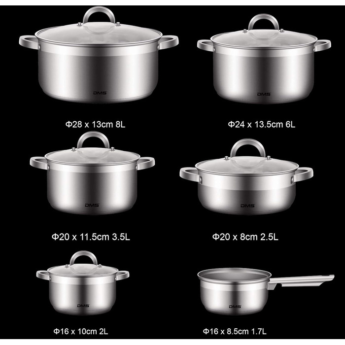 DMS 11-Piece Cookware Set made of high-quality stainless steel | Induction | Coated Cookware Set | Cookware | High-Quality Kitchen Set | Easy to Clean | Saucepan with Handle | Glass Lid TSE2011C