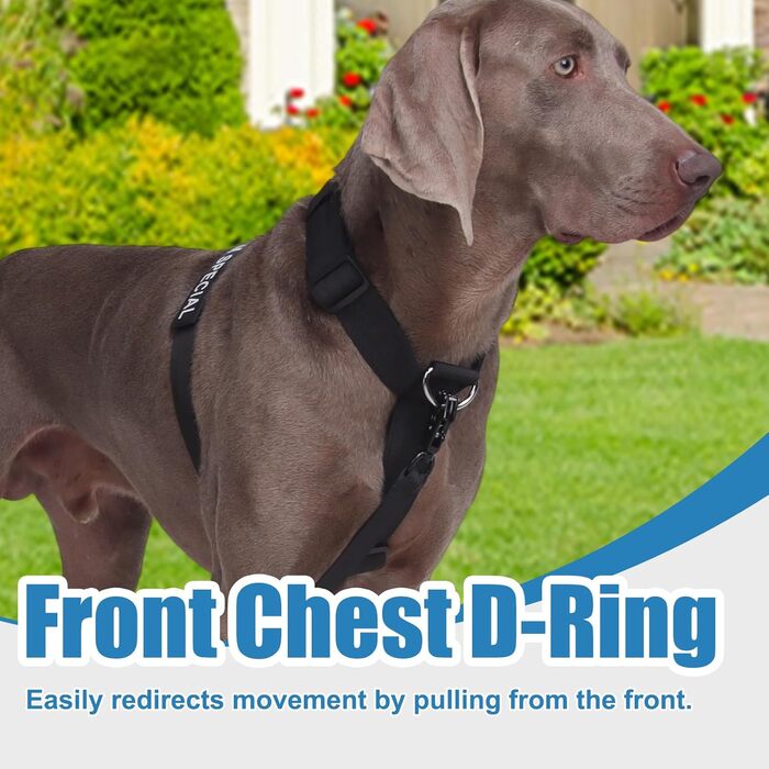 Нашийник для собак FeimaX великих порід, тактичний, зручний, чорний (L)