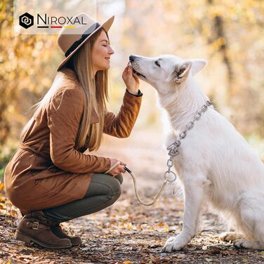 Нашийник для собак з обхватом шиї 49-53 см, нержавіюча сталь V4A, з запобіжником, ланцюговий, 5 мм, довжина 64 см