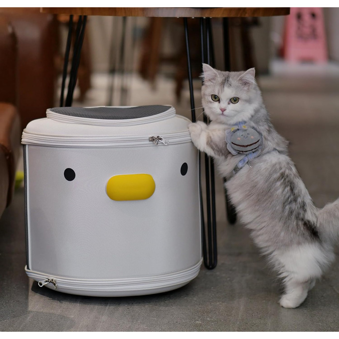 Рюкзак для тварин: переноска для собак та котів вагою до 15 кг