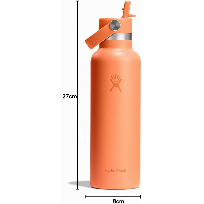 Термобутилка Hydro Flask Standard Mouth 621 мл зі сталевою ізоляцією та кришкою-соломинкою, Nectar