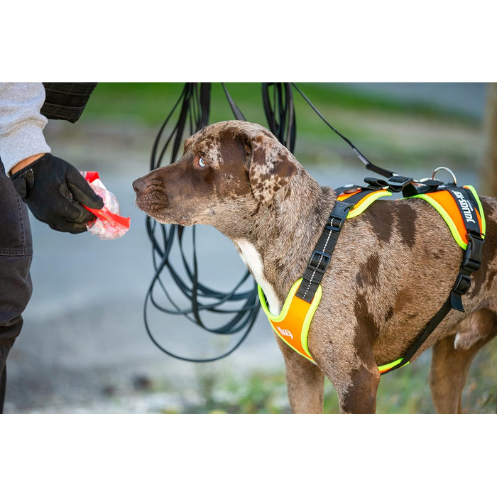 Шлейка для мантрейлінгу Julius-K9 19MTR-S-AMZ, розмір S, помаранчевий колір з неоновим кантом