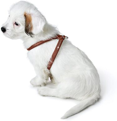 Нашийник для собак HUNTER Round & Soft Canadian UP, колір: Cognac, м'яка, еластична шкіра, прошитий по колу, щадний до хутра, екологічний, Made in Germany, розмір: S/1 S/1 cognac