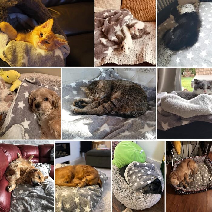 Флатуша плед для собак та котів LeerKing, 100 x 150 см, сірий. Двошаровий, м'який, для дивана, ліжка, авто. Можна прати.