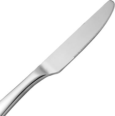 LAZAHOME Cutlery Set, Stainless Steel Mirror Polished, 60-Piece Cutlery Set for 12 People, Dining Cutlery Set with Knife, Fork, and Spoon for Family/Party/Hotel/Restaurant, Silver Table Cutlery, Dishwasher Safe, 60 Pieces
