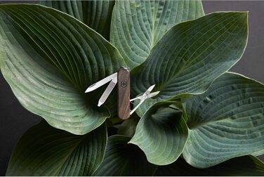 Мультитул Victorinox Classic SD Wood – Швейцарський армійський ніж, 5 функцій, з дерев'яною ручкою