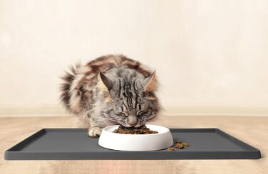 Набір мисок для котів CatGuru: широкі, протиковзні, для зменшення стресу (2 шт.)