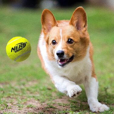 Іграшка для собак NERF Dog Тенісний Бластер, запуск м'ячів