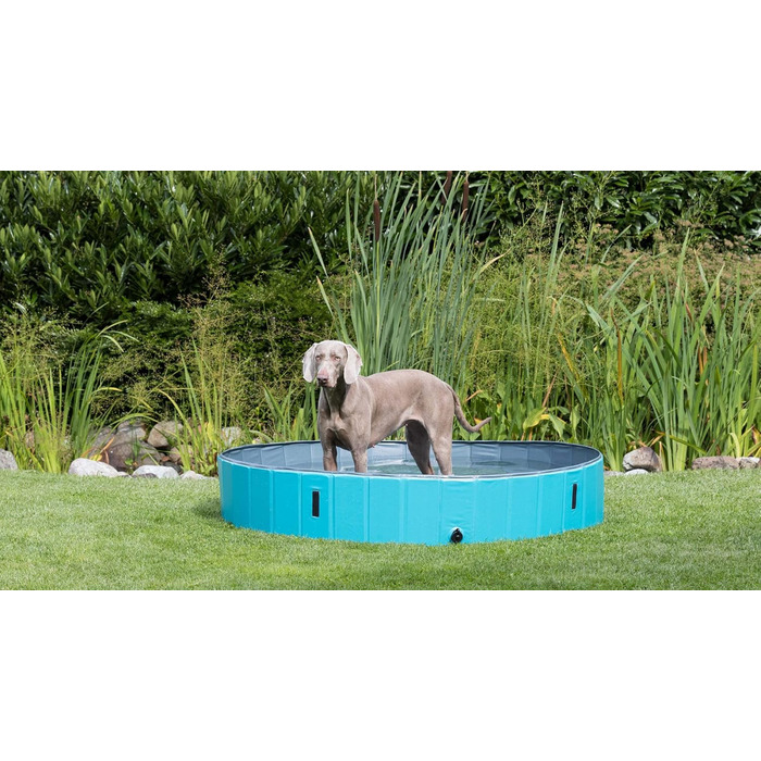Trixie 39482 Dog Pool, ø 120 x 30 cm, turquoise/grey (ø 160 x 30 cm)
