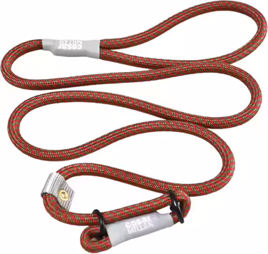 Leine - Training leash for dogs - 2in1 dog collar and leash - Slip Lead - Retriever leash with integrated collar (Small/Medium - Color: ) - Length 120 cm, Diameter 1 cm (Regular, Red)