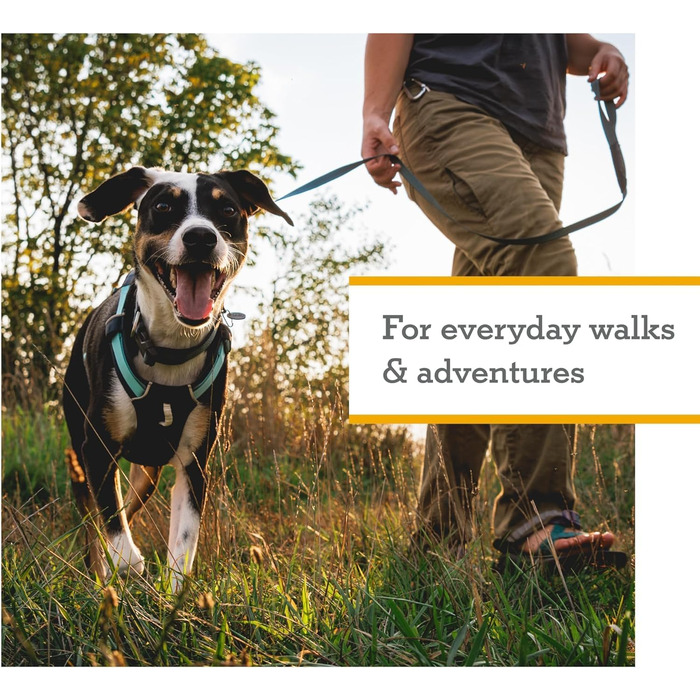 Нашийник Ruffwear Hi & Light Gechirr Alpenglow Pink для собак XS