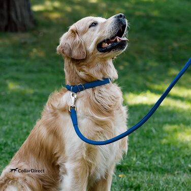 Шкіряний нашийник для собак CollarDirect, круглий, м'яко стьобаний, ручної роботи, з натуральної шкіри, для цуценят та дорослих собак, малих та великих порід, рожевий, червоний, фіолетовий, синій (темно-синій), 18-20 см