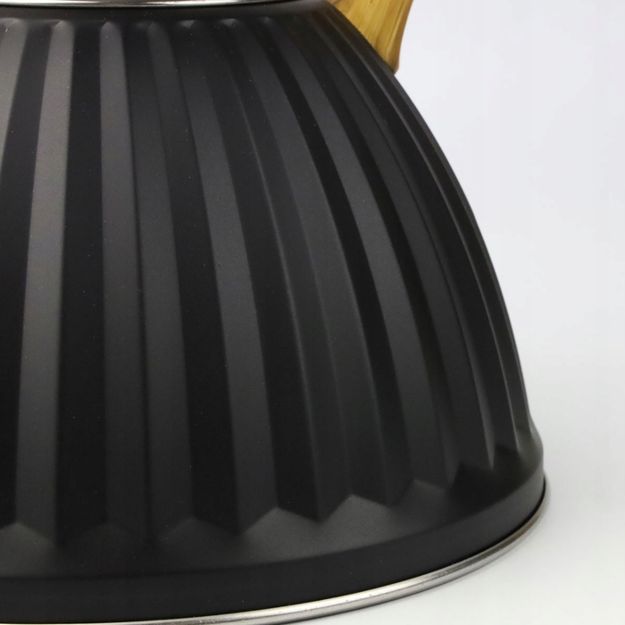 Класичний сталевий чайник Karl Hausmann, 3 л, чорний