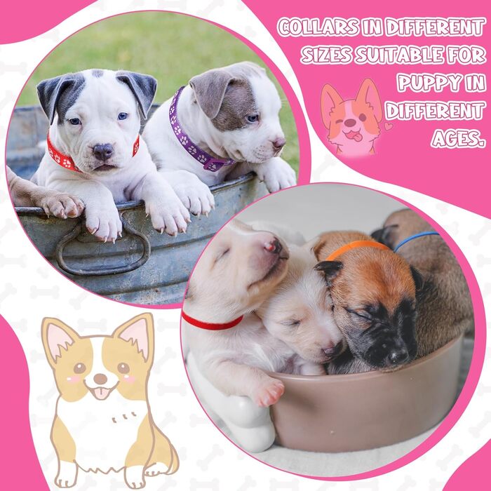 Набір повідків та нашийників для собак JieyueJewelry (36 шт.) з швидкою застібкою, регульовані, з принтом лапки, нейлон, для цуценят та маленьких собак