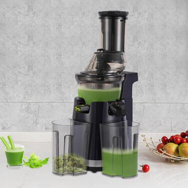 Juicer Slow Juicer, 250W Compact Electric Juicer 800 ml Juice Press for Vegetables and Fruits