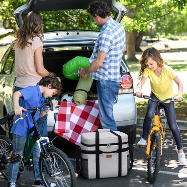 Lifewit Cooler Bag Foldable Picnic Bag for Food & Drinks, Portable Ice Bag for Men, Women, Insulated Thermal Bag for Work, Picnics, Camping (40L, Silk Grey)