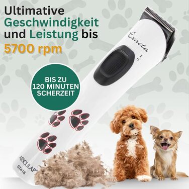 Машинка для стрижки собак та котів Agrarzone Edition Aesculap Exacta - з запасним ножем, тиха та без вібрації