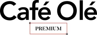 Café Olé PT-048 Cafe Ole Premium Teakettle, 18/10 Stainless Steel, 48 Ounces, Drip-Free Pouring, Hollow Handles & Flip-Up Lid, Silver