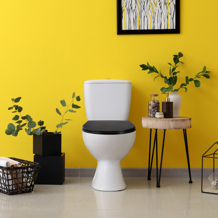 Relaxdays Toilet Seat with Soft-Close Mechanism