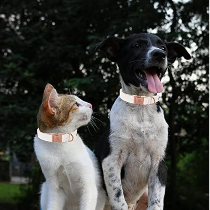 Елегантний шкіряний нашийник та поводок для собак - довговічний аксесуар для маленьких собак, підходить для осені, регульований, 1 шт.