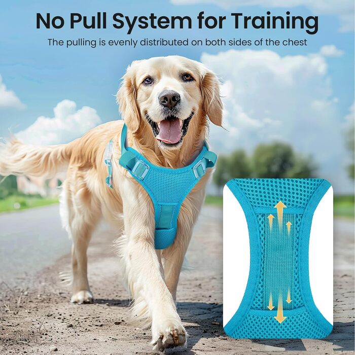 Світлодіодне шлейка для собак з підсвічуванням LED, перезаряджувана - шлейка з LED для собак маленьких, середніх та великих порід, світловідбиваюча, регульована, XL (Блакитний, Large)