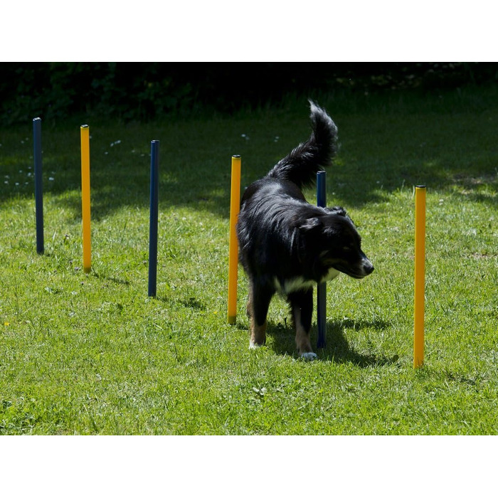 Набір для дресирування собак, Агіліті, Стартовий набір: стійки та тунель