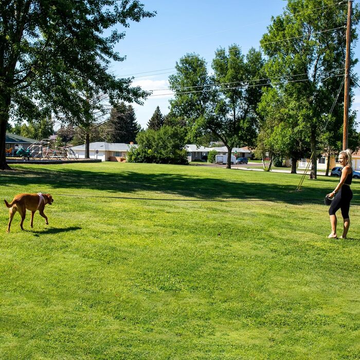 Рулетка для собак Fida 8м, чорна, до 50кг, 2025