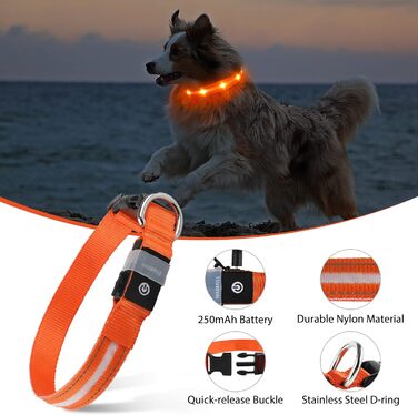 Світловідбиваючий нашийник для собак ASBRILL з LED підсвічуванням, водонепроникний, регульований, 3 режими освітлення, для малих, середніх та великих собак (XS, помаранчевий)