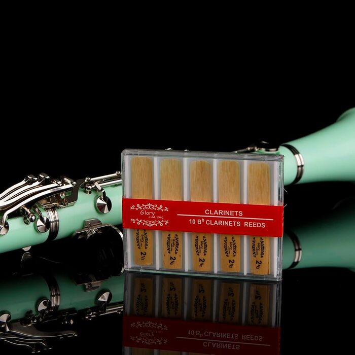 Кларнет Glory GLY-CLAGN професійний ебонітовий Bb з аксесуарами (10 вставок, стійка, кейс, щітки)
