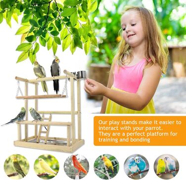 Bird Playground, budgie toys, bird play stand, bird gym, bird accessories, climbing frame with feeder cups, tray, swing for parakeets, canaries, finches, etc. (#8)
