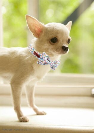 Нашийник для собак Unique Style Paws з метеликом, регульований, для середніх собак (L, Райдужний)