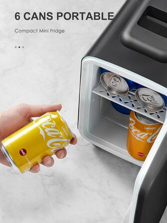 Reemix Mini Fridge - 4L / 6 Can Capacity - Portable Cooler & Warmer