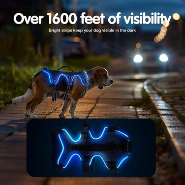 Світловідбиваючий нашийник для собак Jewyow з LED, перезаряджуваний, м'який, регульований, водонепроникний, зелений (XL)