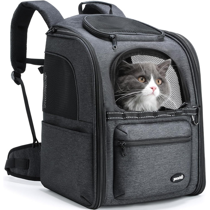 Рюкзак для кота та собаки Pecute, до 6 кг, дихаючий, складний, легкий, для подорожей