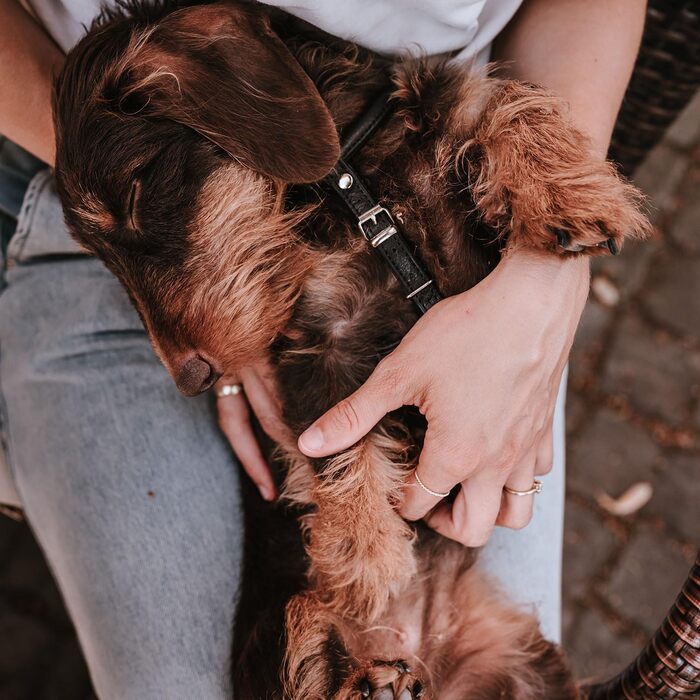 Нашийник для собак HUNTER Round & Soft Canadian UP, чорний, м'яка шкіра, безшовний, для догляду за шерстю, екологічний, Made in Germany, розмір XXS-XS