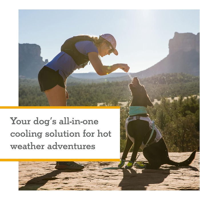 RUFFWEAR Swamp Cooler Dog Harness and Handle, Lightweight Running Gear Keeps Pets Cool in Hot Weather, Adjustable, Durable & Cooling, 2 Leash Ports, Graphite Gray (Large/XL, 81-107cm)