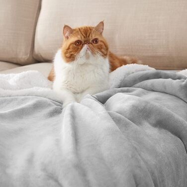 BEDSURE Плед з м'якого Sherpa, теплий плед з вовни - плед на диван, пухнастий накид, товстий плед на диван, подарунок для жінок, пухнастий плед для дому, сірий, 150x200 см, XL (світло-сірий, 230 x 270 см)