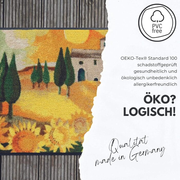 Килимок Salonloewe Rosina Wachtmeister Siamo in sei 50x75 см – яскравий придверний килим для входу з котами, брудозахисний, праний, кольоровий