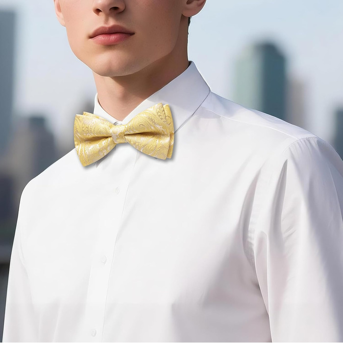 Батерфляй (метелик) Barry.Wang для чоловіків, візерунок пає, шовк, кишеньковий хустинка та запонки, для весілля, вечірки, формальних заходів (жовтий)