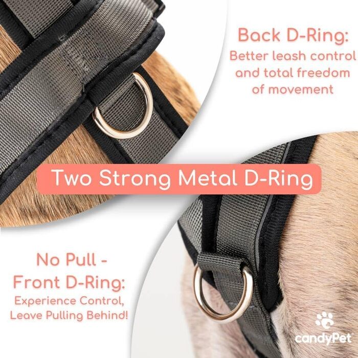 Шлейка для собак Whippet, Podenco, Італійський грейхаунд - антитягальна, для прогулянок, тренувань та бігу (Рожева, XS)