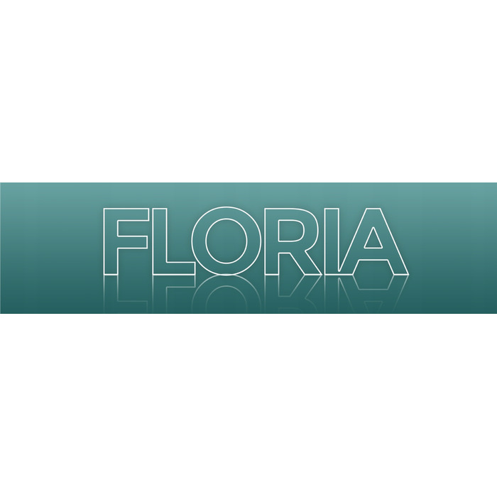 Скороварка Floria 9 л, срібляста