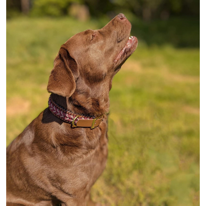 FairPaw Dog Collar Wide Paracord - Sustainable & Handmade - Wide Dog Collar for Large Dogs - Braided Dog Collars - Adjustable Dog Collar, For Medium & Large Dogs, Red S