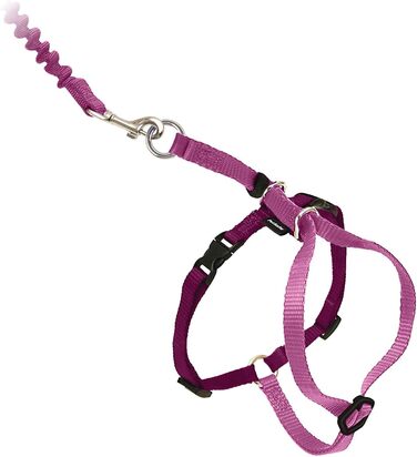 PetSafe Come with Me Kitty Harness and Bungee Leash, Harness for Cats, Size M, Red/Cranberry, Model: CWMK-M-RED (Light Pink/Burgundy, Large (Pack of 1))