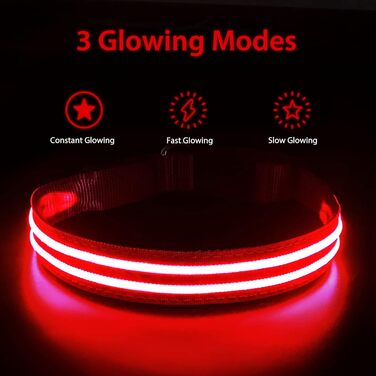 Світлодіодна нашийникова стрічка для собак PCoTllar, заряджається, 3 режими світіння, водонепроникна, для малих, середніх та великих собак, зелена, (TC5000), розмір S (28-40 см)