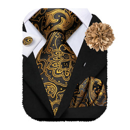 Чоловіча краватка Hi-Tie з краватковою брошкою та нагрудником (коричнева/бронзова)