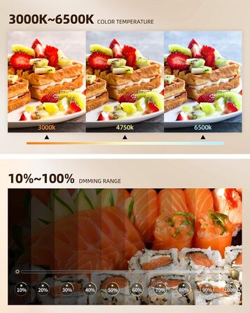 Настільний штатив з кільцевим світлом для кухні та фуд-відео – 10 дюймів | Штатив з кільцевим світлом для зйомки їжі, рецептів, відео та стріму
