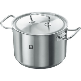 Каструля ZWILLING Twin Classic з кришкою, 24 см, 6 л, для індукції, нержавіюча сталь