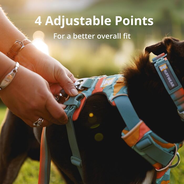 Шлейка для собак Ruffwear Front Range, регульована, з відбиваючими елементами, комфортна, для прогулянок та бігу, 2 точки кріплення, Spring Mountains M