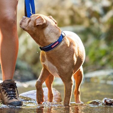 Нашийник для собак EzyDog Camo (M, L) - Неопрен, Водостійкий, Світловідбиваючий